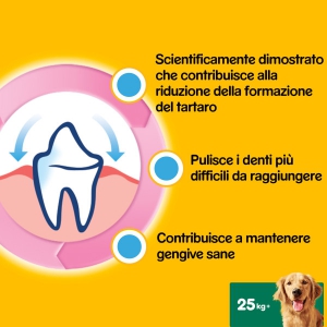 Foto Pedigree - Dentastix Large da 28 Pezzi