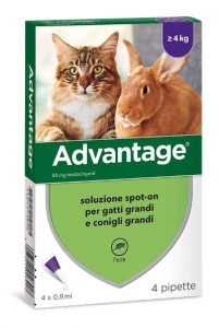 Foto Bayer - Advantage 80 per Gatti o Conigli di oltre 4 Kg da 4 x 0,8 ml