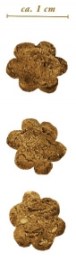 Foto Terra Canis - Mini Treats Biscotti Fiore alla Selvaggina da 130g