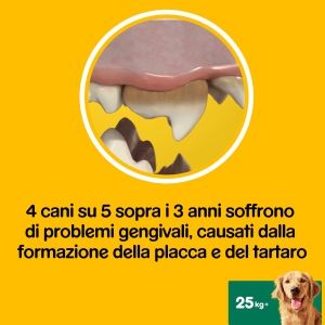 Foto Pedigree - Dentastix Large da 21 Pezzi