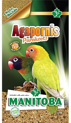 Foto Manitoba - Agapornis Parakeets da 3 Kg