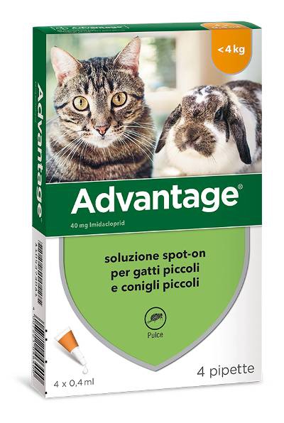 Foto Bayer - Advantage 40 per Gatti o Conigli fino a 4 Kg da 4 x 0,4 ml