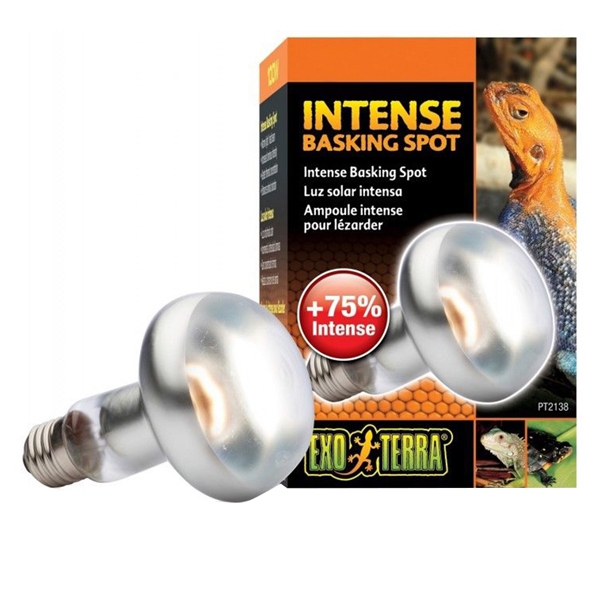 Foto Exo Terra - Intense Basking Spot Lampada Luce Solare 50 W