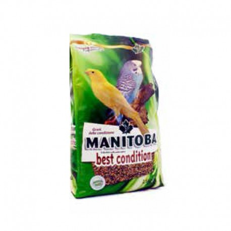 Foto Manitoba - Best Condition da 2,5 Kg