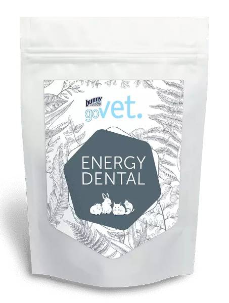 Foto Bunny - goVet Energy Dental da 1,2 Kg