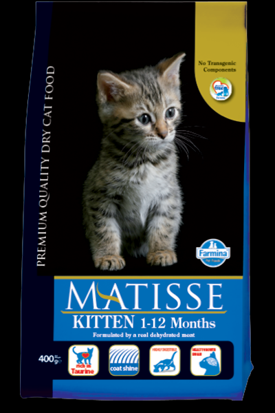 Foto Matisse -  Kitten da 10 kg