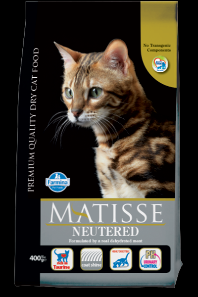 Foto Matisse -  Neutered da 10 kg