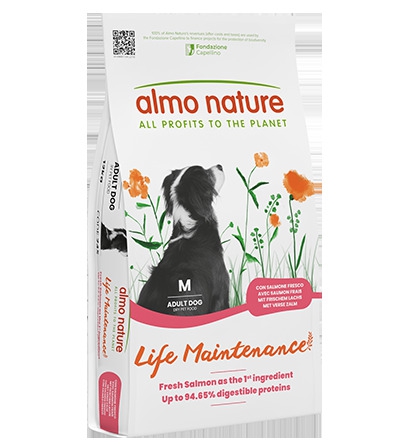 Foto Almo Nature - Holistic Adult Medium con Salmone e Riso da 12 kg